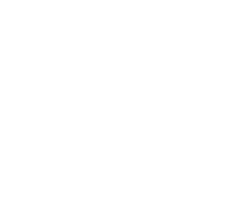 Details Image